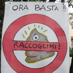 LI C Verdi Cafaro dice Basta ai campi minati per le deiezioni canine