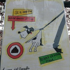 LI C Verdi Cafaro dice Basta ai campi minati per le deiezioni canine