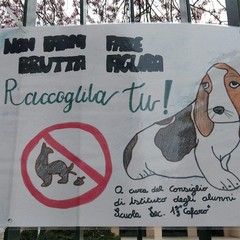 LI C Verdi Cafaro dice Basta ai campi minati per le deiezioni canine