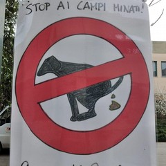 LI C Verdi Cafaro dice Basta ai campi minati per le deiezioni canine