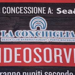 La Conchiglia JPG