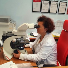 La dott ssa Nenna a lavoro