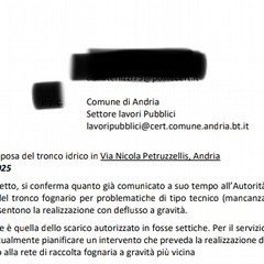 circa venti famiglie scrivono al Sindaco Bruno