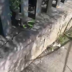 razzia di biciclette e monopattini