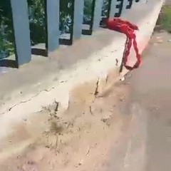 razzia di biciclette e monopattini