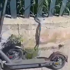 razzia di biciclette e monopattini