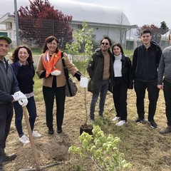 Lions Club Puglia Scambi Giovanili: "Tre alberi per salvare il pianeta"