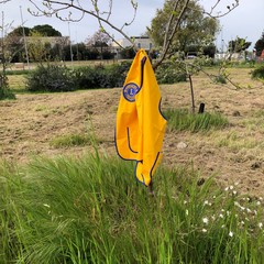 Lions Club Puglia Scambi Giovanili: "Tre alberi per salvare il pianeta"