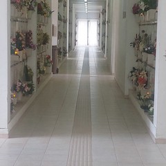 Cimitero