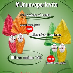 Un Uovo per la Vita – Sostieni la Ricerca e la Speranza