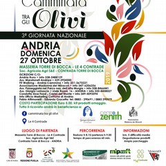 LOCANDINA Camminata tra gli Olivi