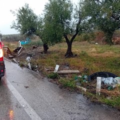 Auto fuori strada sulla provinciale ex 231