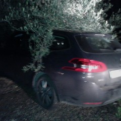 autovetture rubate scoperte nelle aree rurali di Andria