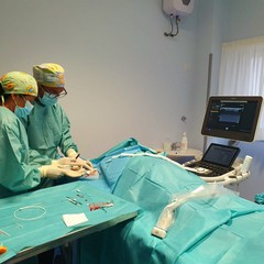 Ambulatori di Terapia del dolore e accessi vascolari, diretti dalla dott.ssa Daniela Maiorano