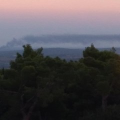 MANIERO SMOG