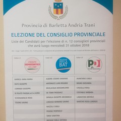 manifesto candidati
