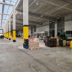 Inaugurato il nuovo mercato ortofrutticolo di Andria