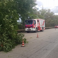 Tragedia sfiorata ad Andria: alianto si schianta sulla provinciale 231