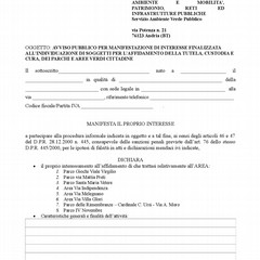 Mod DOMANDA manifestazione di interesse