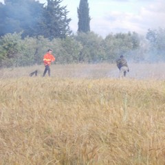 Monte Vitolo