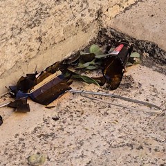 Torna in via Vaglio e strade attigua movida selvaggia