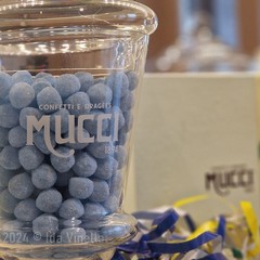 Alla scoperta dei Tenerelli Mucci ®️, una storia di dolcezza legata al Carnevale