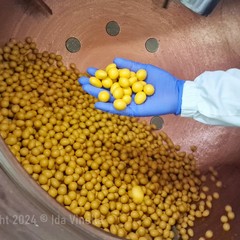 Alla scoperta dei Tenerelli Mucci ®️, una storia di dolcezza legata al Carnevale