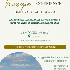 Mugia experience