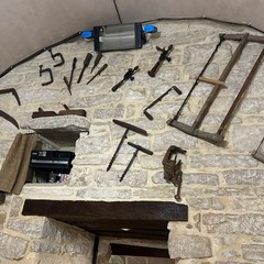 Museo della Civiltà Contadina