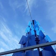 Nella foto di Antonella il blu dell albero ed il blu del cielo
