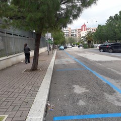 strisce blu