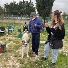 progetto "Mi Fido" della Cooperativa sociale "Questa Città"