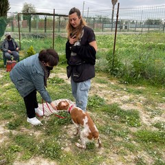 progetto "Mi Fido" della Cooperativa sociale "Questa Città"