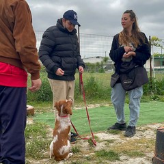progetto "Mi Fido" della Cooperativa sociale "Questa Città"