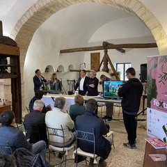 Associazione Città dell’Olio