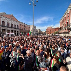 Orgoglio Olivicolo
