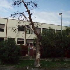 P JPG