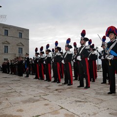 Arma dei Carabinieri: le ricompense assegnate al personale in servizio nella Bat