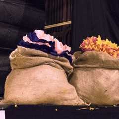 I Fiori d’Acciaio in scena al Palazzo Ducale