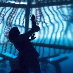 I Fiori d’Acciaio in scena al Palazzo Ducale