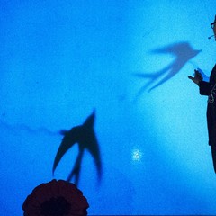 I Fiori d’Acciaio in scena al Palazzo Ducale