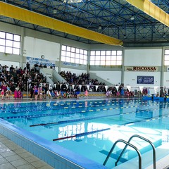 Un bellissimo giorno di cloro alla piscina comunale di Andria