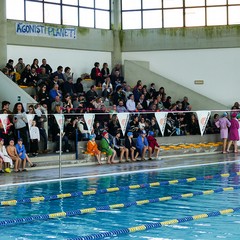 Un bellissimo giorno di cloro alla piscina comunale di Andria