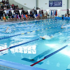 Un bellissimo giorno di cloro alla piscina comunale di Andria