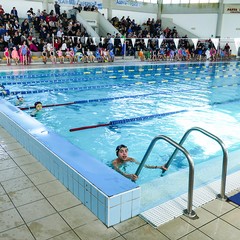 Un bellissimo giorno di cloro alla piscina comunale di Andria