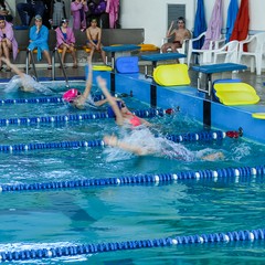 Un bellissimo giorno di cloro alla piscina comunale di Andria