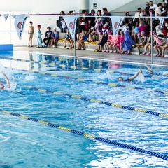 Un bellissimo giorno di cloro alla piscina comunale di Andria