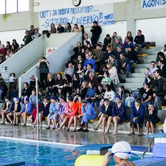 Un bellissimo giorno di cloro alla piscina comunale di Andria