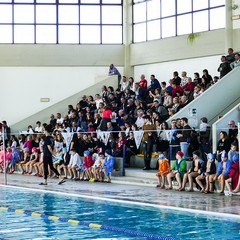 Un bellissimo giorno di cloro alla piscina comunale di Andria