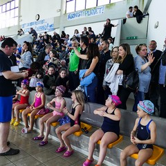 Un bellissimo giorno di cloro alla piscina comunale di Andria